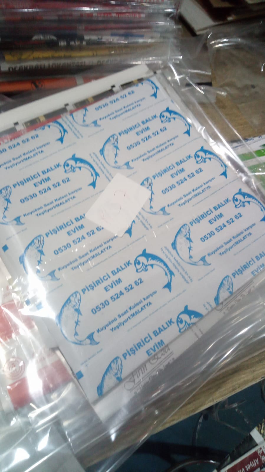 Pişirici Balık Evim